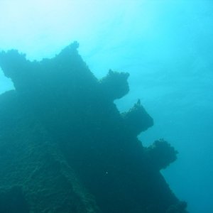 Tauchplätze: Atlantik - Dominikanische Republik - Maimon und Sosua