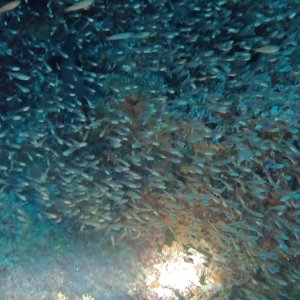 Süd-Male Atoll / Embudu