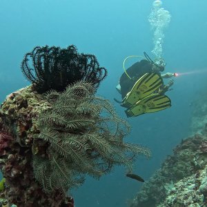 Süd-Male Atoll / Embudu