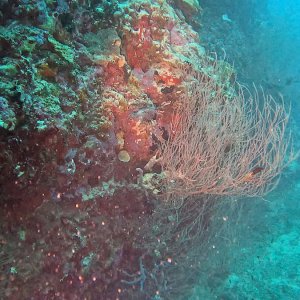Süd-Male Atoll / Embudu