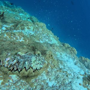 Süd-Male Atoll / Embudu