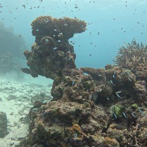 Süd-Male Atoll / Embudu