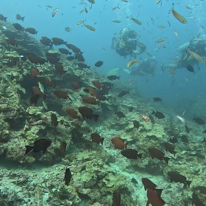 Süd-Male Atoll / Embudu