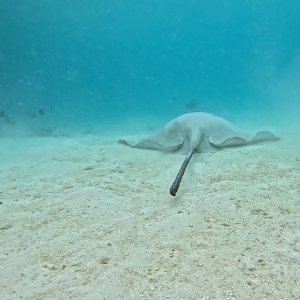 Süd-Male Atoll / Embudu