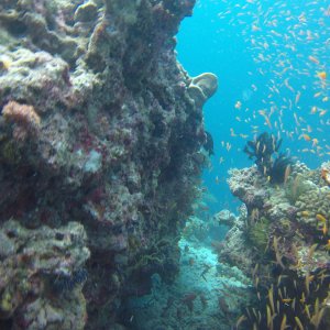 Süd Male Atoll