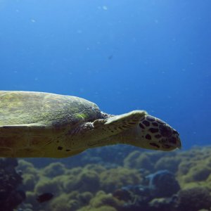 Süd Male Atoll