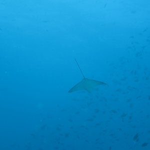 Süd Male Atoll