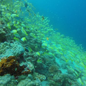 Süd Male Atoll