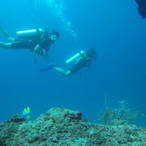 Süd Male Atoll / Fihalhohi