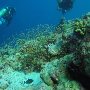 Süd Male Atoll