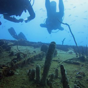 Wracks bei Bayahibe