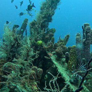 Wracks bei Bayahibe (2025)