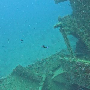 Wracks bei Bayahibe (2025)