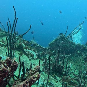 Wracks bei Bayahibe (2025)