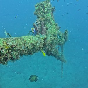 Wracks bei Bayahibe (2025)