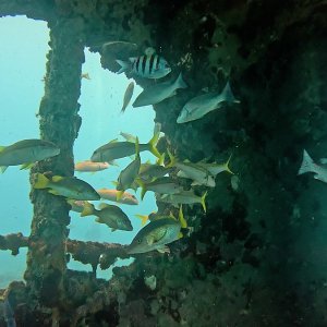 Wracks bei Bayahibe (2025)