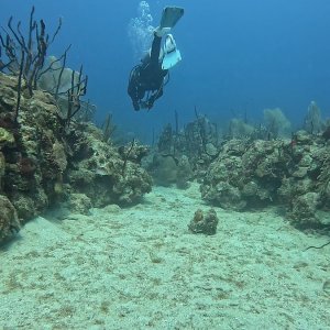 Bayahibe (2025)