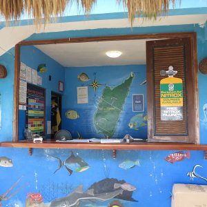 Cozumel (2013)
