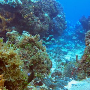 Cozumel 2023