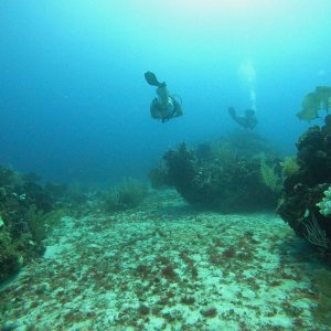 Puerto Aventuras (2023)