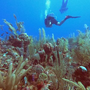 Puerto Aventuras (2023)
