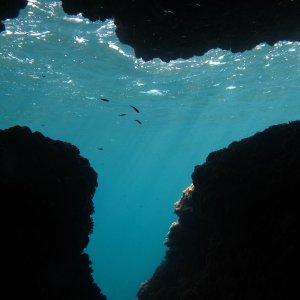 Mallorca (Cala Barca)