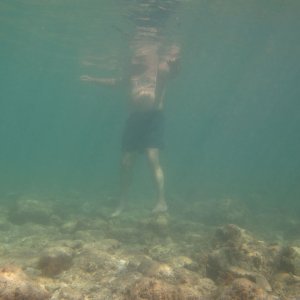 Mallorca (Cala Barca)