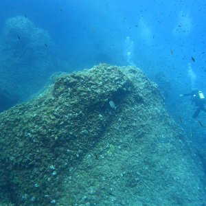 Font De Sa Cala