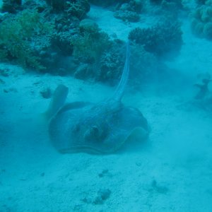 Hurghada