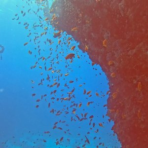 Makadi Bay (2024)