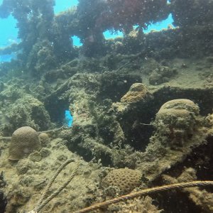 Makadi Bay (2024)