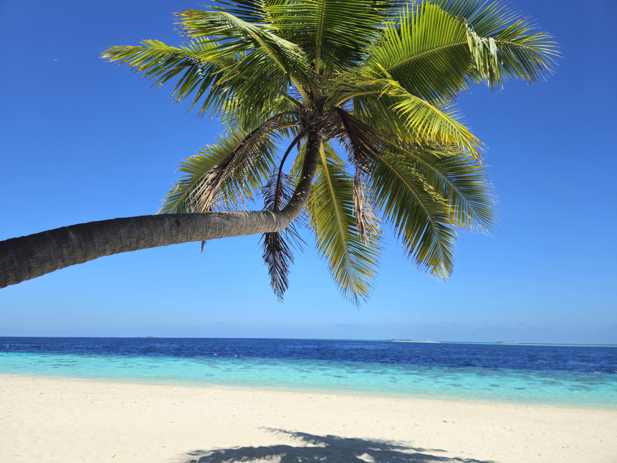 Rückweg nach dem Tauchen