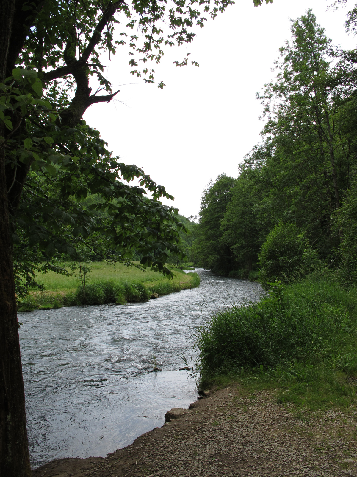 Flussabwärts ab Wölmer Steg