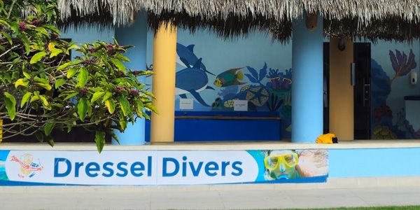 Dressel Divers